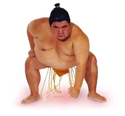 Sumo Sumo