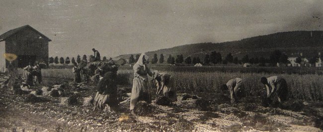 La Fée Verte - La route de l'absinthe - 8 mai 2012 Cc