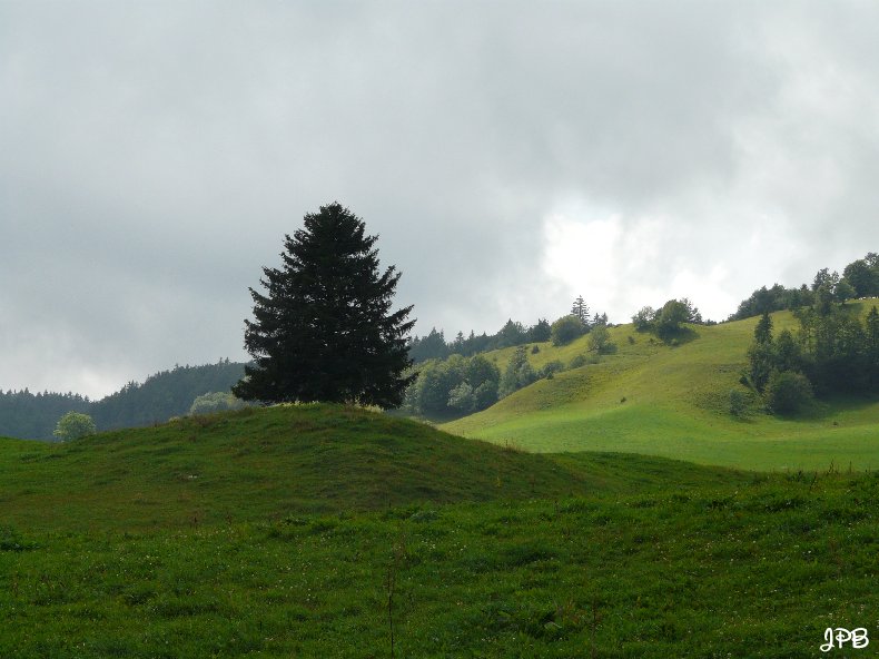 Les Hautes Combes par Jean-Pierre Bouvard - 4/11/2009 016