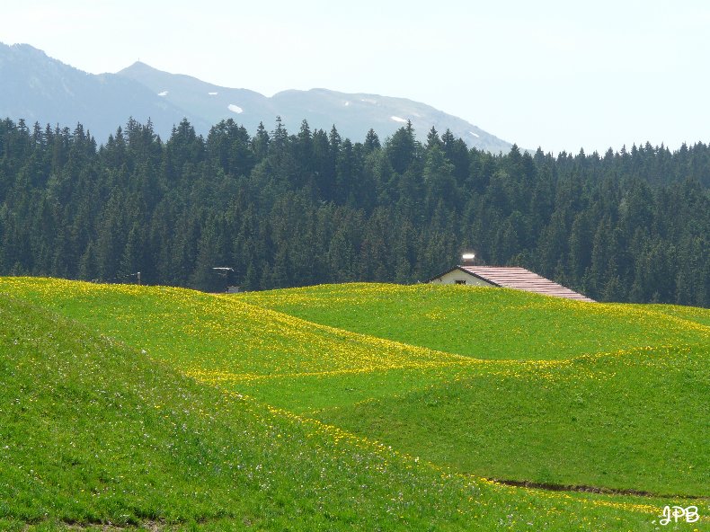 Les Hautes Combes par Jean-Pierre Bouvard - 4/11/2009 019