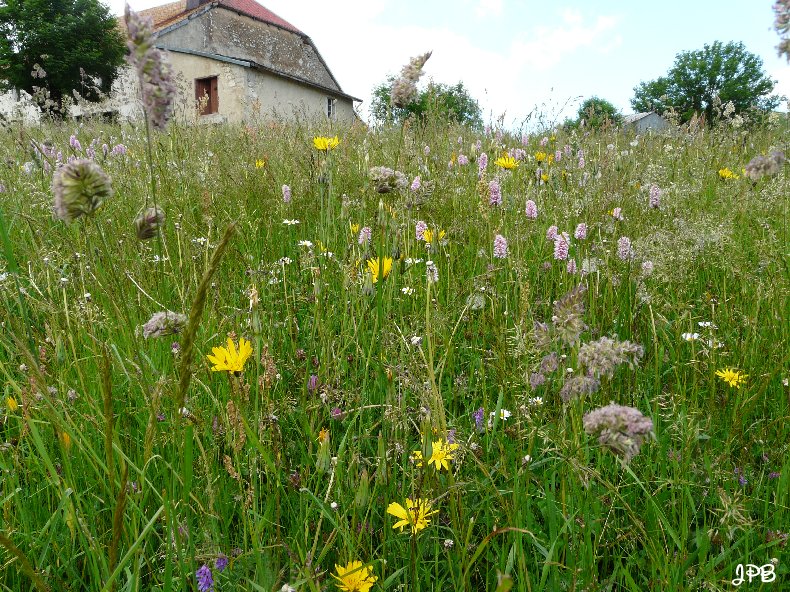 Les Hautes Combes par Jean-Pierre Bouvard - 4/11/2009 026