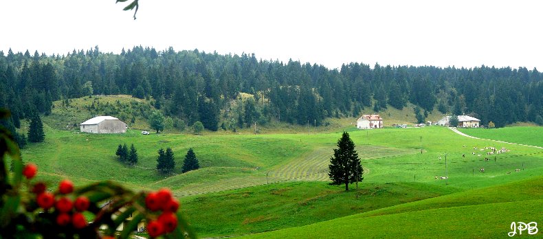 Les Hautes Combes par Jean-Pierre Bouvard - 4/11/2009 029