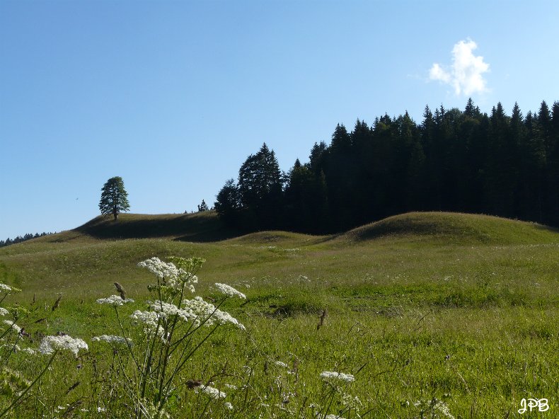 Les Hautes Combes par Jean-Pierre Bouvard - 4/11/2009 030