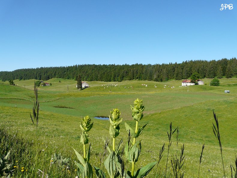 Les Hautes Combes par Jean-Pierre Bouvard - 4/11/2009 031