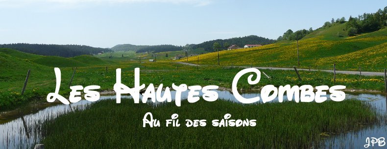 Les Hautes Combes par Jean-Pierre Bouvard - 4/11/2009 Logo