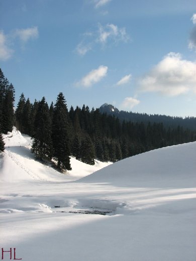 Le Ramble - La Pesse - Hélène - 7 mars 2010 0017