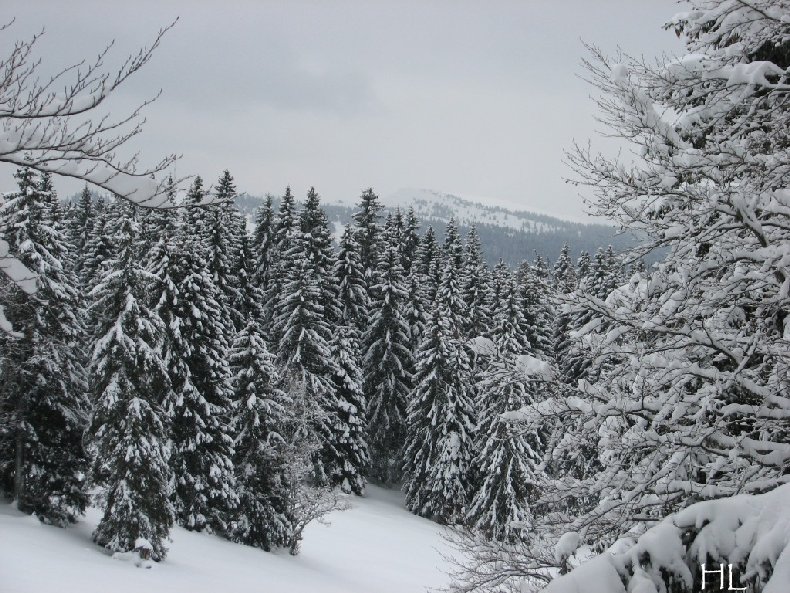 Une "baladaski" d'Hélène - Le tour du Mont Pela - 20 février 2010 0003