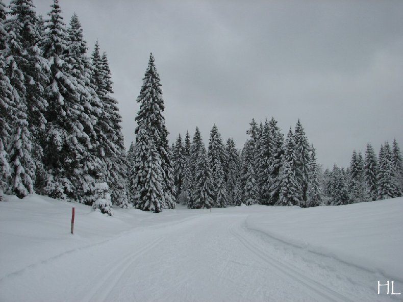 Une "baladaski" d'Hélène - Le tour du Mont Pela - 20 février 2010 0013