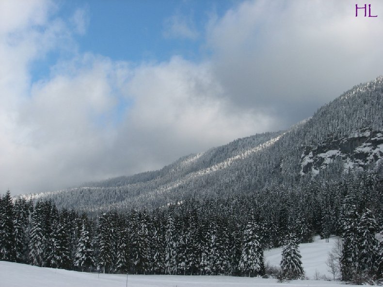 Dimanche de neige dans la vallée de la Valserine - 7 février 2010 0007