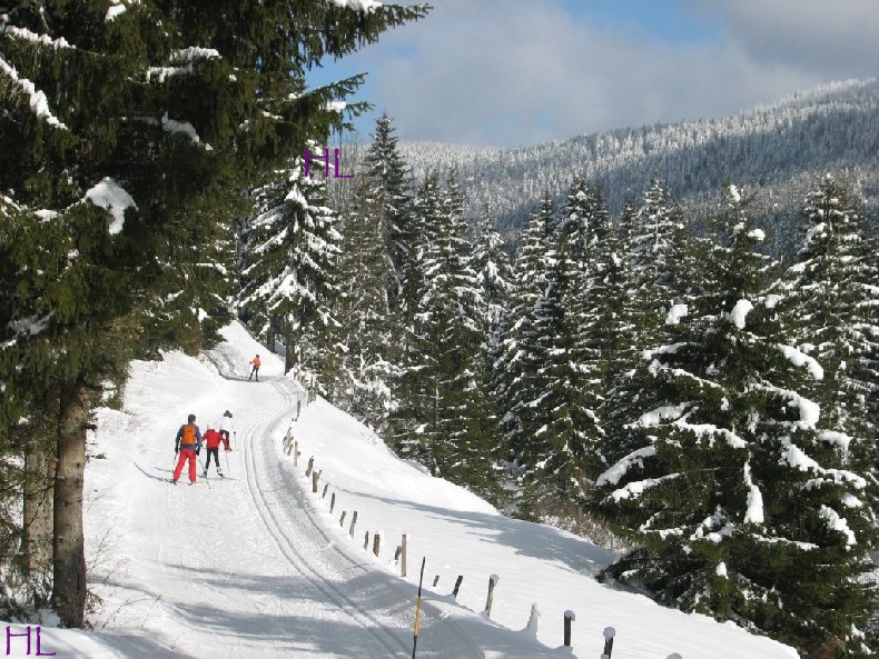 Dimanche de neige dans la vallée de la Valserine - 7 février 2010 0008