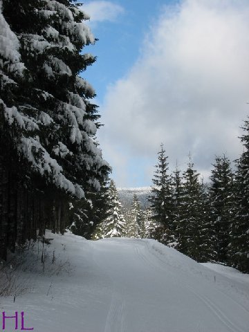 Dimanche de neige dans la vallée de la Valserine - 7 février 2010 0009