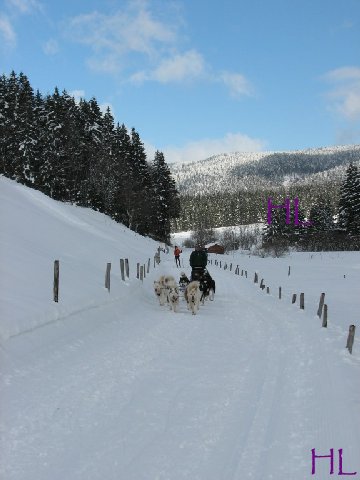 Dimanche de neige dans la vallée de la Valserine - 7 février 2010 0010