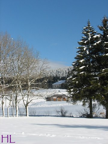 Dimanche de neige dans la vallée de la Valserine - 7 février 2010 0013