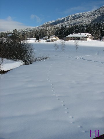 Dimanche de neige dans la vallée de la Valserine - 7 février 2010 0014