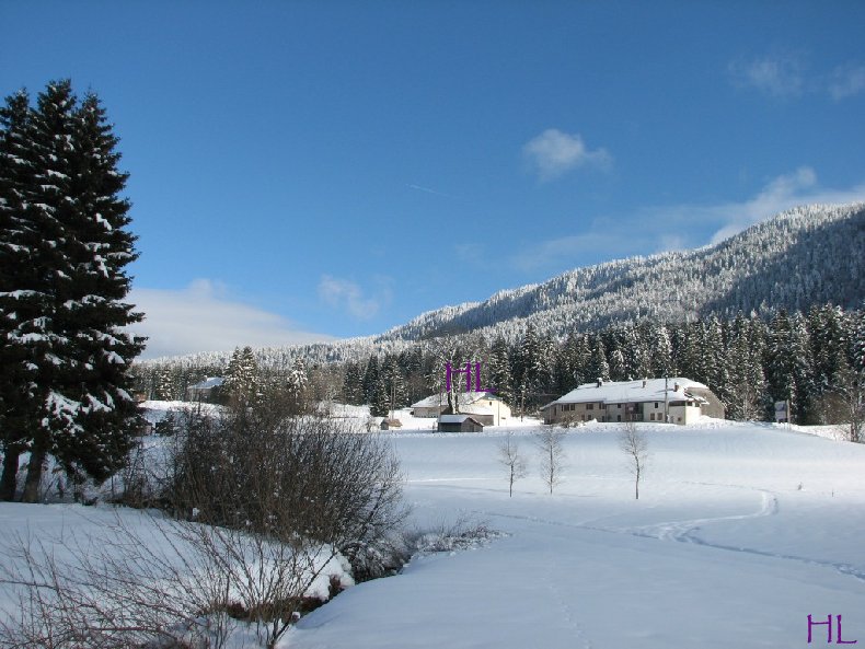 Dimanche de neige dans la vallée de la Valserine - 7 février 2010 0015