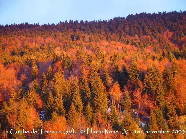 Les archives de la photo d'accueil 2006-10_combe_tressus