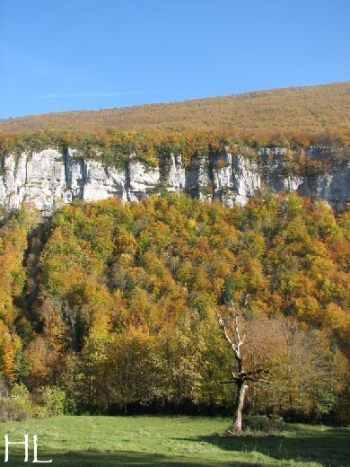 Collection Automne 2010 - Le massif change d'habits - 8/11/2010 0005