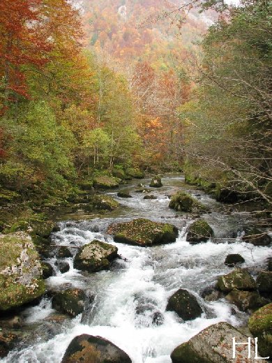 Collection Automne 2010 - Le massif change d'habits - 8/11/2010 0012