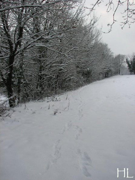 Au sud du Massif Jurassien, le Plateau de Retord 0002