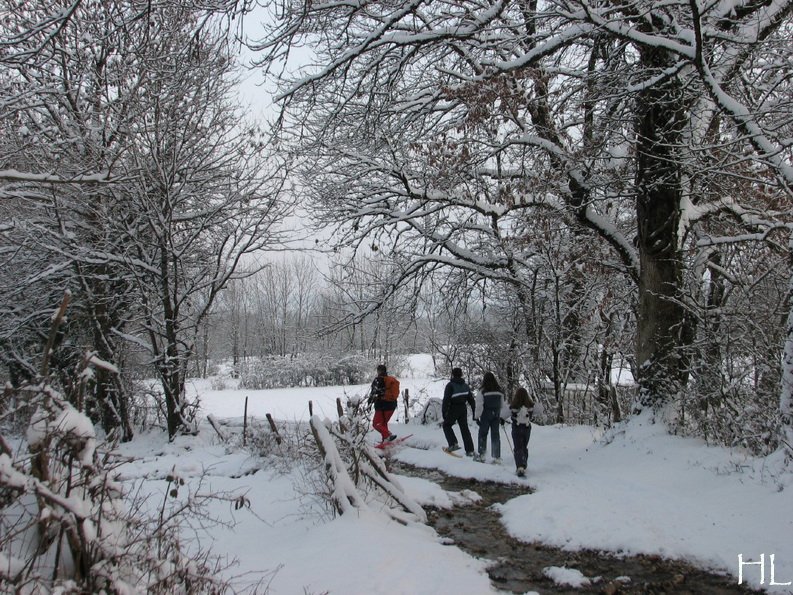 Au sud du Massif Jurassien, le Plateau de Retord 0004