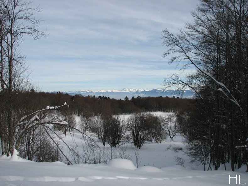 Au sud du Massif Jurassien, le Plateau de Retord 0012