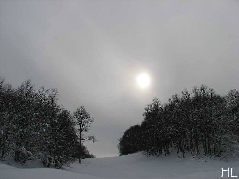 Au sud du Massif Jurassien, le Plateau de Retord 0018