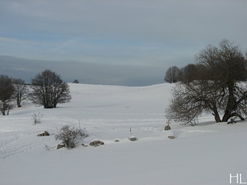 Au sud du Massif Jurassien, le Plateau de Retord 0020