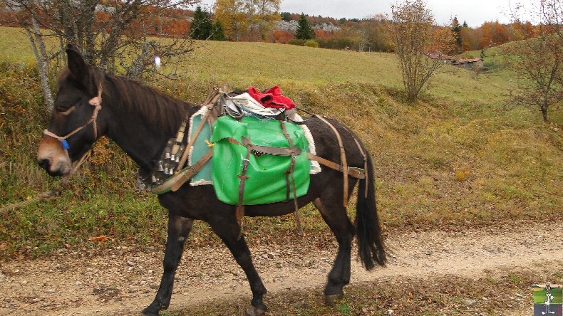 La 13 ème Transhum'âne - 30 - 31 octobre et 1er novembre 2010 0016