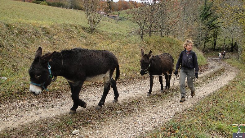 La 13 ème Transhum'âne - 30 - 31 octobre et 1er novembre 2010 0025