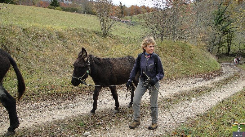 La 13 ème Transhum'âne - 30 - 31 octobre et 1er novembre 2010 0026