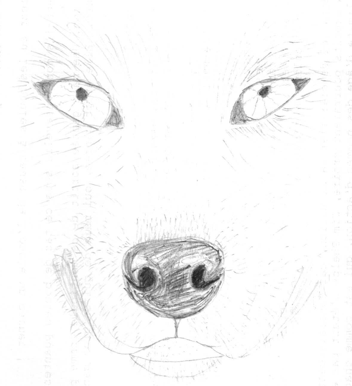 [wolf_dream] Dessins Loup-2002-08-28_grand