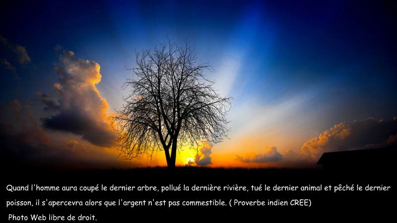 Autres petites citations 6c556f38