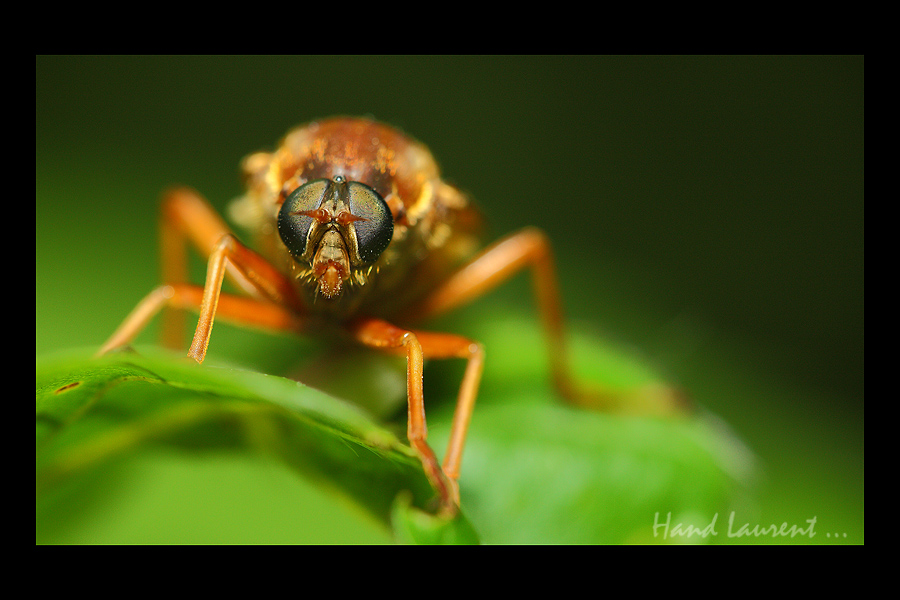 T'as de gros yeux tu sais  ! L_inconnue1