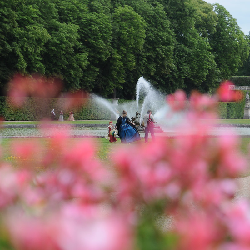 Sortie Vaux le Vicomte le 20 juin DSC_0608