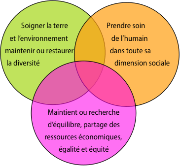 La permaculture renverse les dogmes de l'agronomie  traditionnelle PermaculturePrincipes