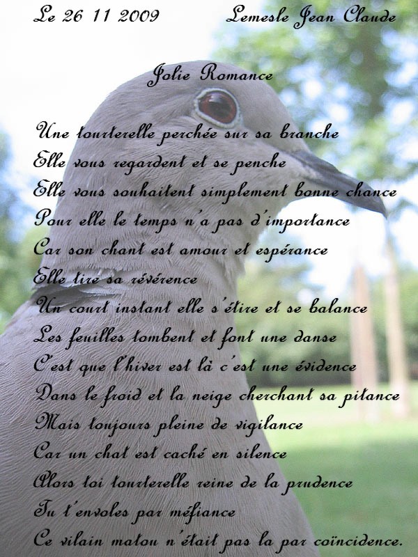 jolie romance poeme de jcl 969a1859