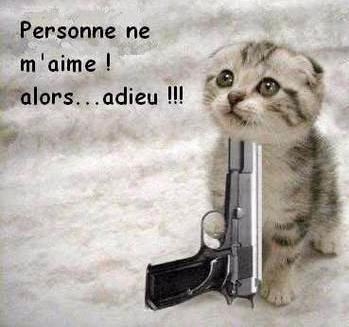 personne ne m'aime alors adieu poeme de jcl 9g9qkb4t