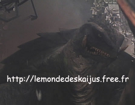 Gamera Gamera2