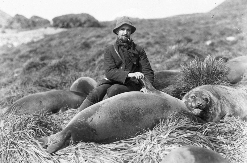 Fotografías de la Antartida hace 100 años A128125r