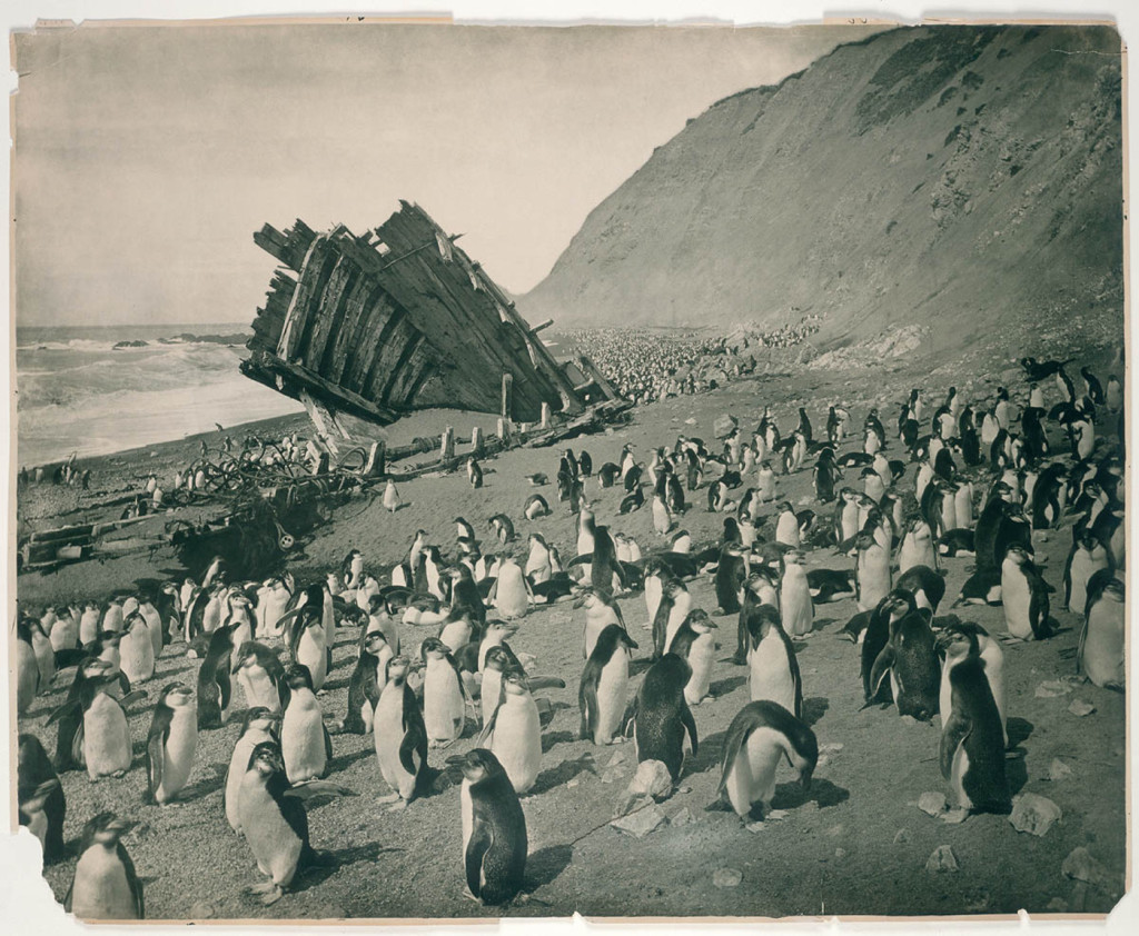 Fotografías de la Antartida hace 100 años A190009h-1024x842