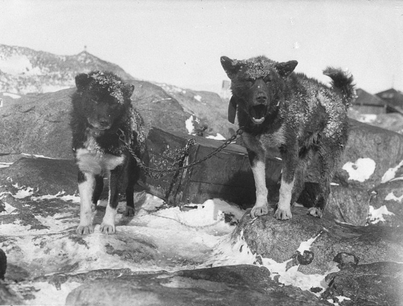 Fotografías de la Antartida hace 100 años Aae_36923r