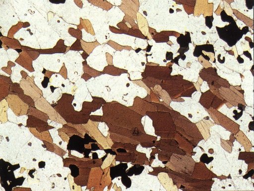 Les minéraux sous le microscope Biotite-LPNA