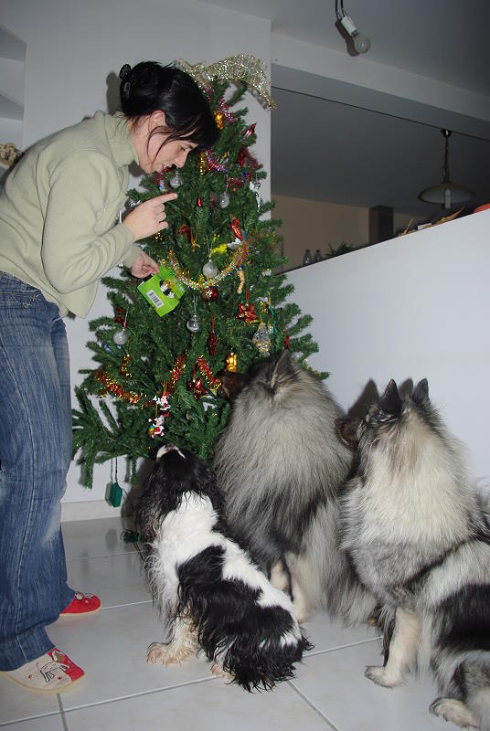 Noël de Nibble IMGP1991