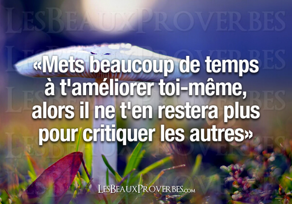 «Mets beaucoup de temps à t’améliorer toi-même, alors il ne t’en restera plus pour critiquer les autres» 1491