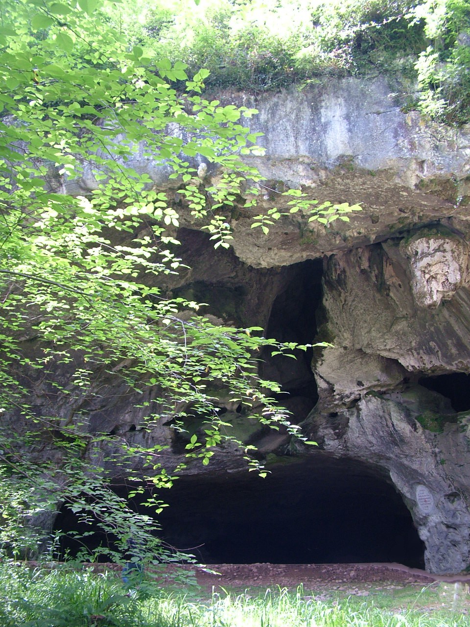 La tanière des anciens C551aa4d