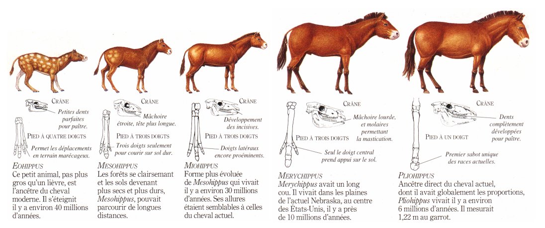 Présentation de Chuna56 - Page 15 Maroussia-26