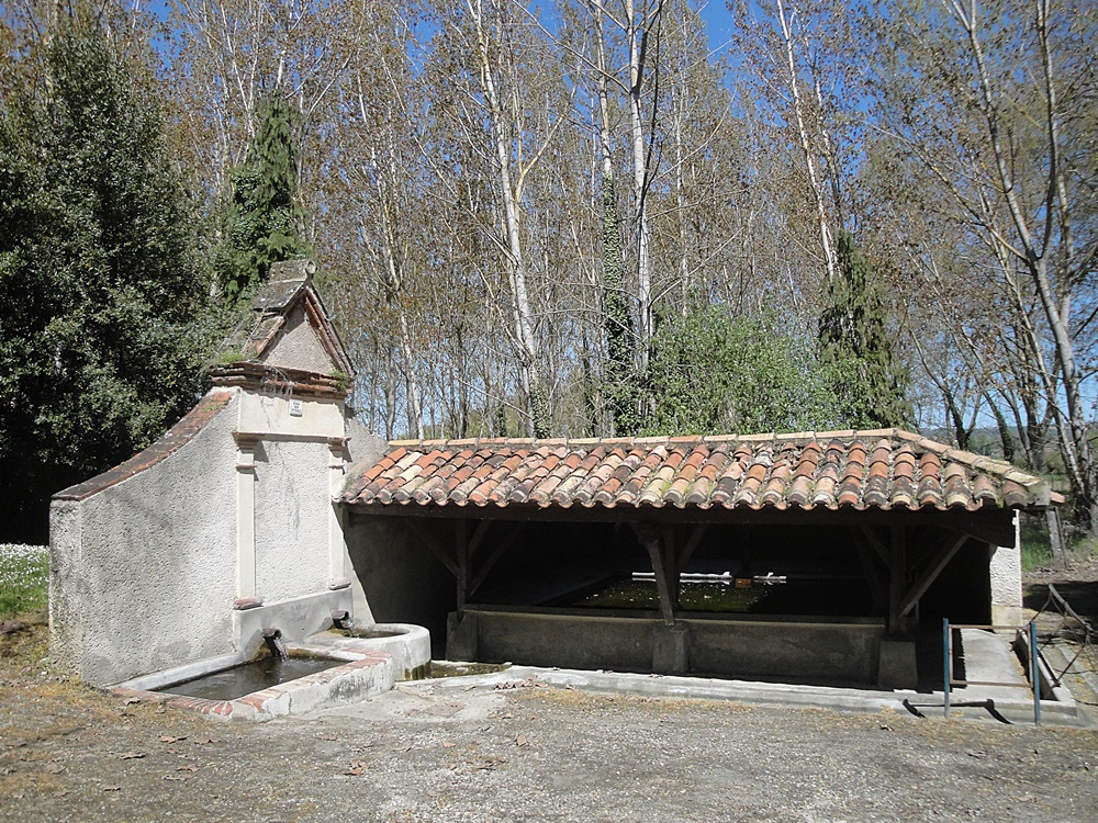  47 : MONGAILLARD + 82 : SAINT LOUP  1000DSC03197