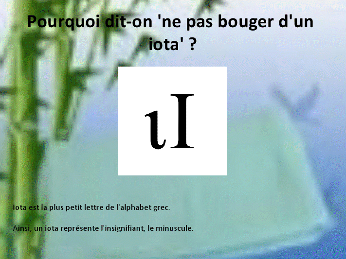 A DECOUVRIR : QUESTIONS-REPONSES 18viewer