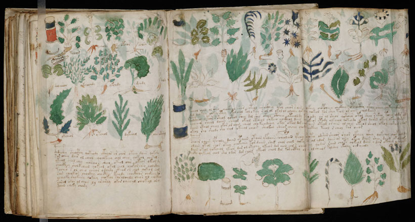 Des copies fidèles du manuscrit de Voynich bientôt en vente 6-decouvertes-mysterieuses-et-epatantes-que-la-science-narrive-toujours-pas-a-expliquer-aujourdhui1