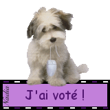  VOTES DE JANVIER 2024 SUR BOOSTERFORUM   - Page 4 3603226e